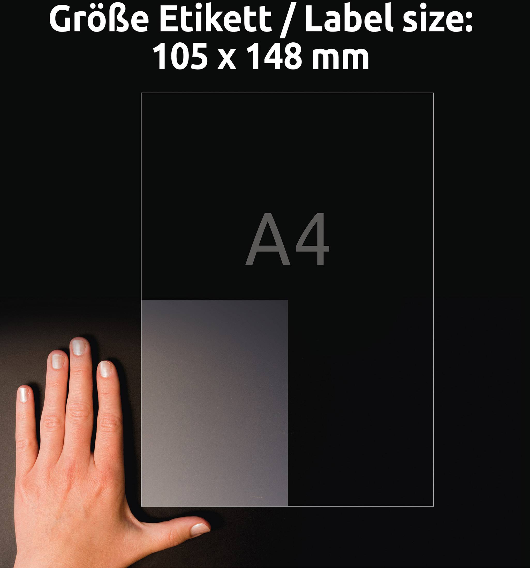 Avery-Zweckform L8013-10 Antimikrobielle Etiketten 105 x 148mm Polyester-Folie Transparent 40 St. Permanent 10 Blatt