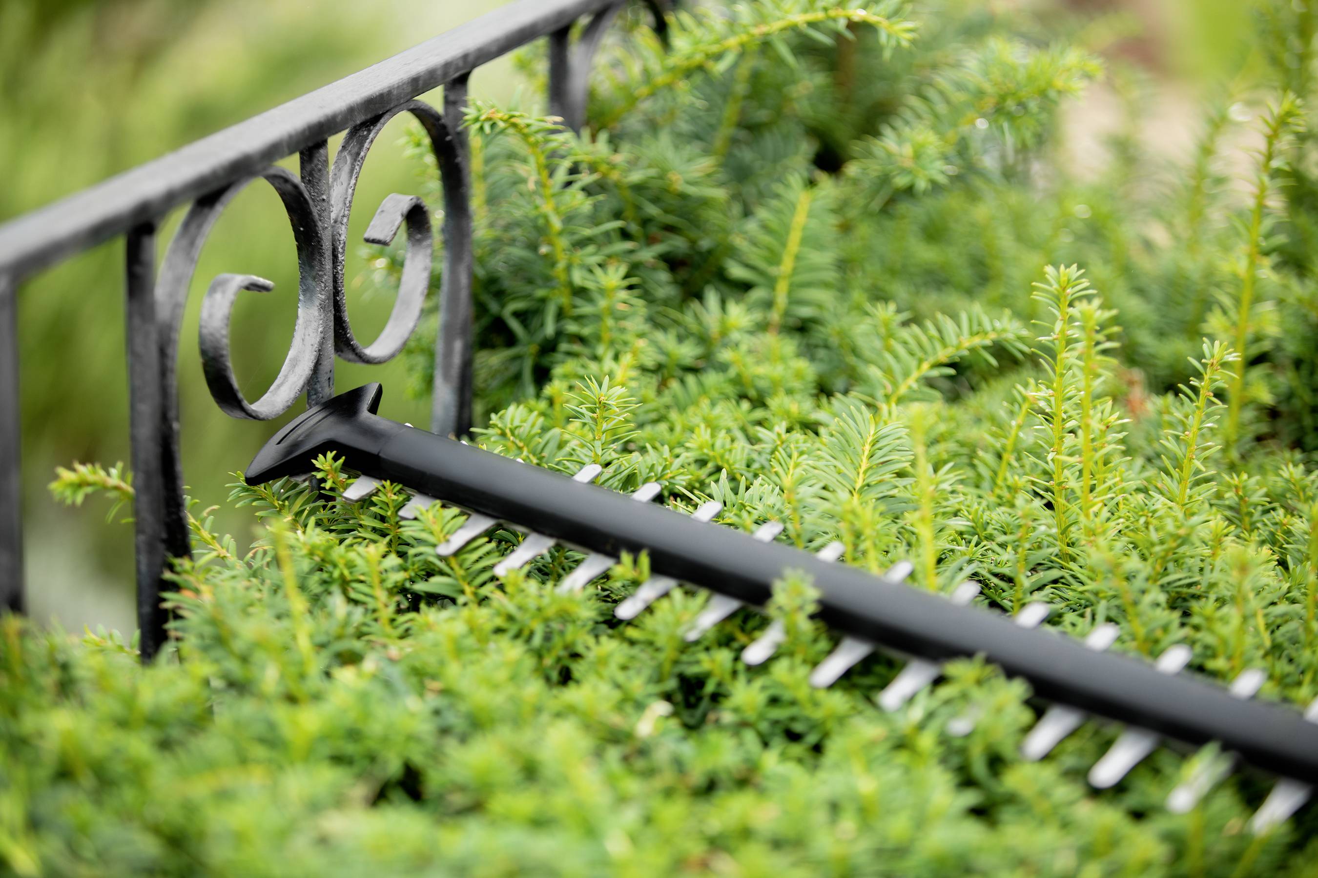 Bosch Home and Garden UniversalHedgeCut 18-50 Akku Heckenschere ohne Akku 18 V Li-Ion