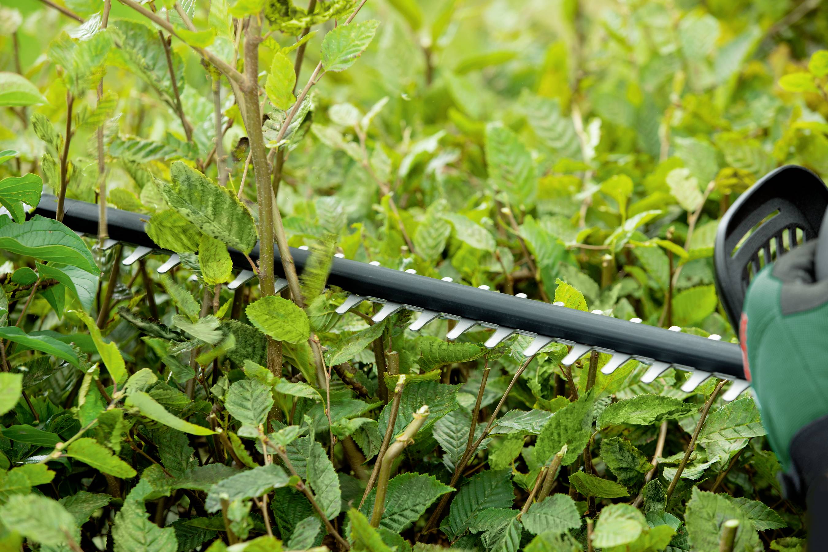 Bosch Home and Garden UniversalHedgeCut 18-50 Akku Heckenschere ohne Akku 18V Li-Ion