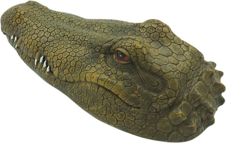 Krokodil-Kopf RC Einsteiger Funktionsmodell RtR 300mm