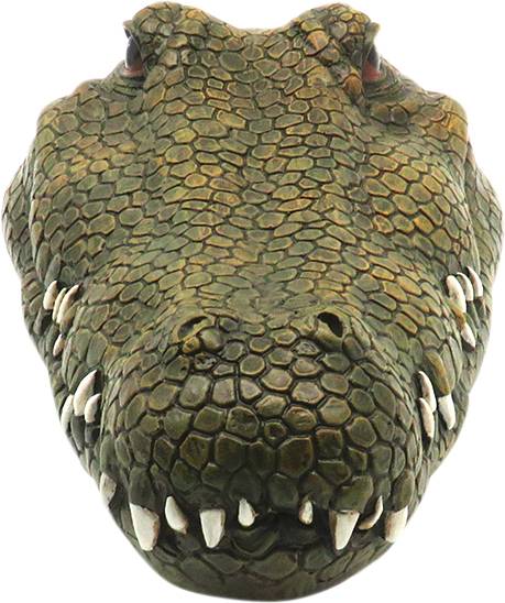 Krokodil-Kopf RC Einsteiger Funktionsmodell RtR 300mm