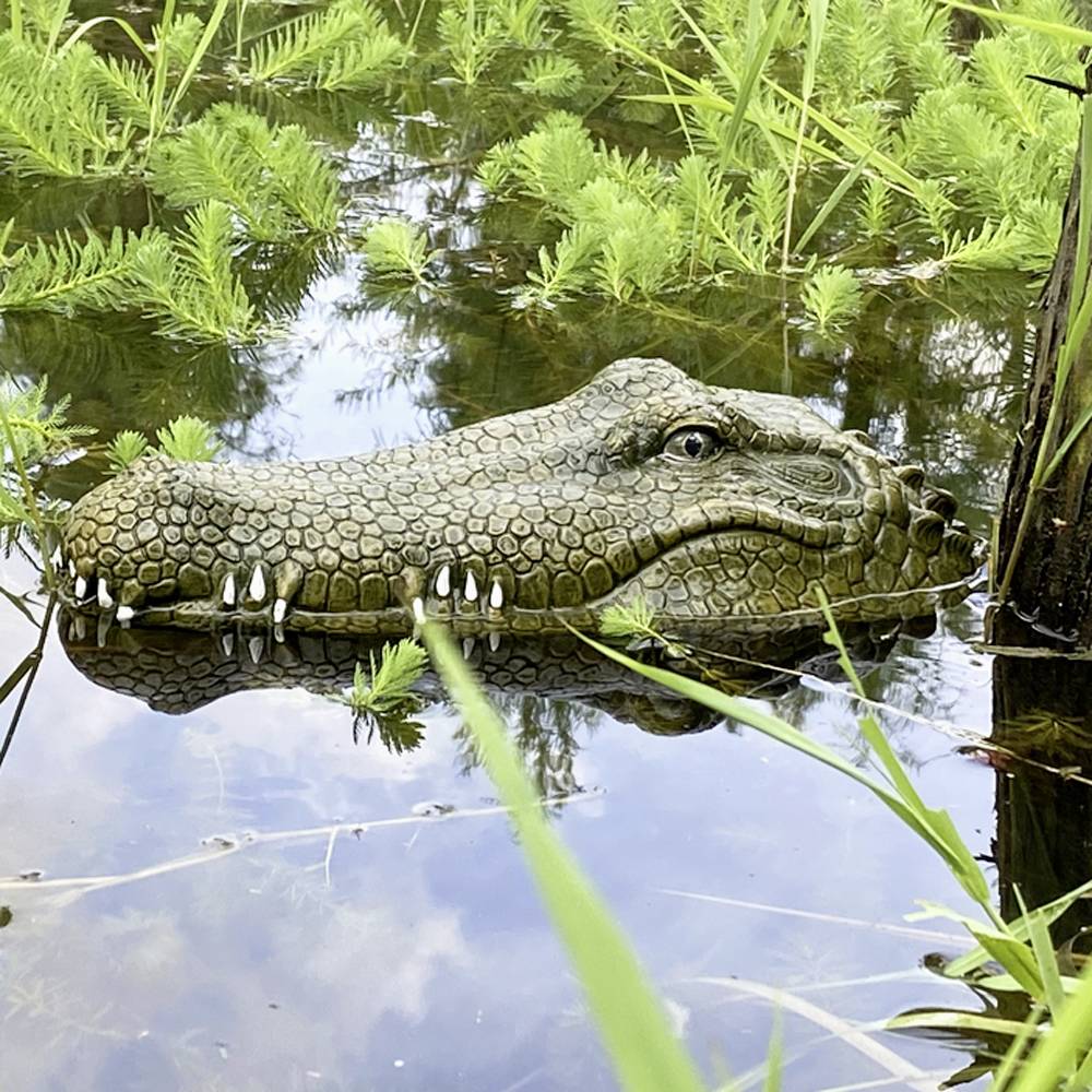 Krokodil-Kopf RC Einsteiger Funktionsmodell RtR 300mm