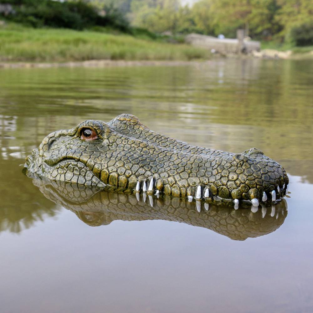 Krokodil-Kopf RC Einsteiger Funktionsmodell RtR 300mm