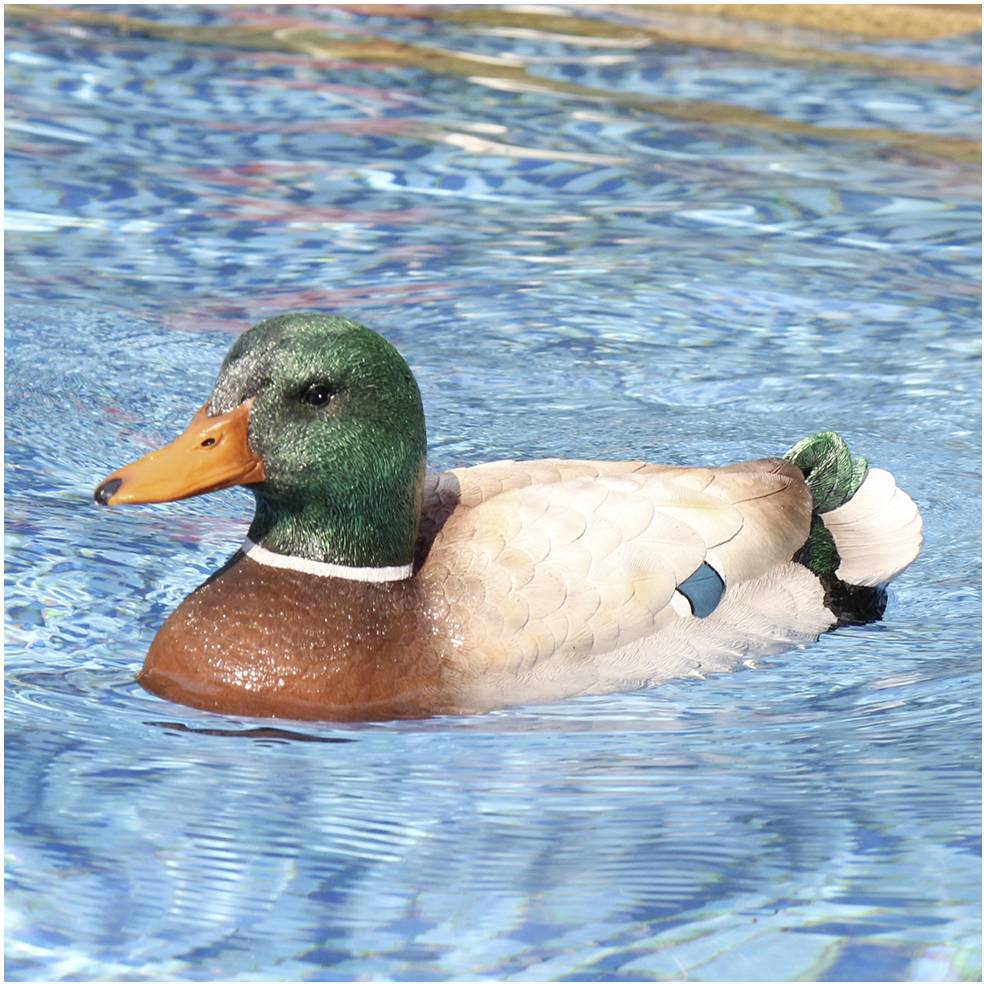 Ente RC Einsteiger Funktionsmodell RtR 350 mm