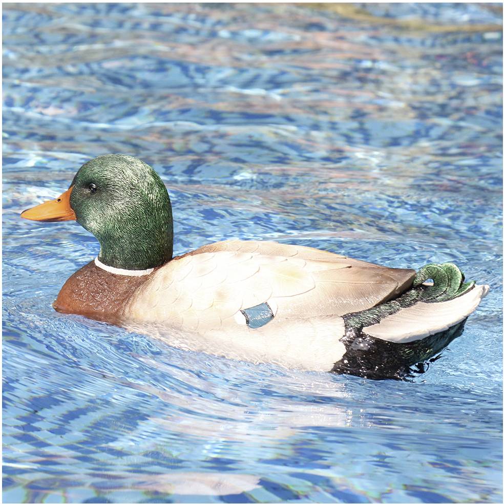 Ente RC Einsteiger Funktionsmodell RtR 350 mm