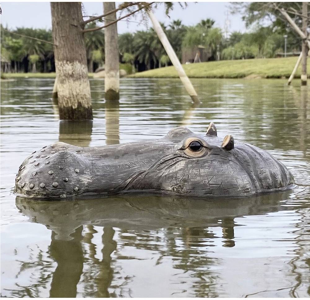 Nilpferd-Kopf RC Einsteiger Funktionsmodell RtR 311mm