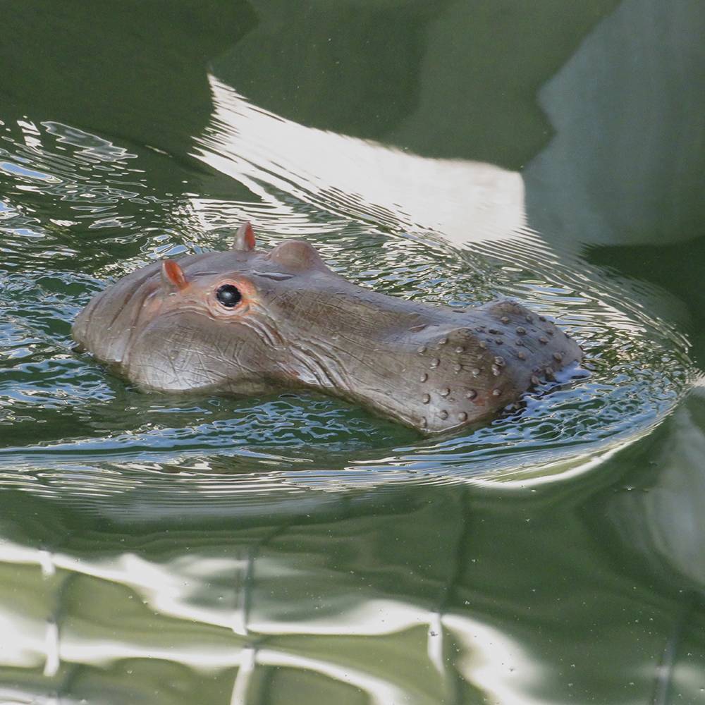 Nilpferd-Kopf RC Einsteiger Funktionsmodell RtR 311mm