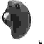 Logitech M575 Kabellos, USB Ergonomische Maus Optisch Ergonomisch, Maustasten, mit Trackball Schwarz