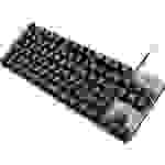Logitech K835 TKL Kabelgebunden Gaming-Tastatur Switch: Red Deutsch, QWERTZ