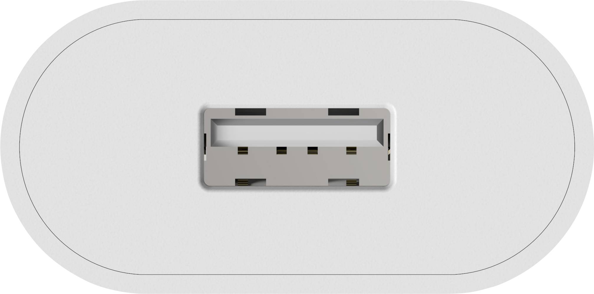 Ein USB-2.0-Anschluss, horizontal in der Mitte eines weißen ovalen Gehäuses platziert.