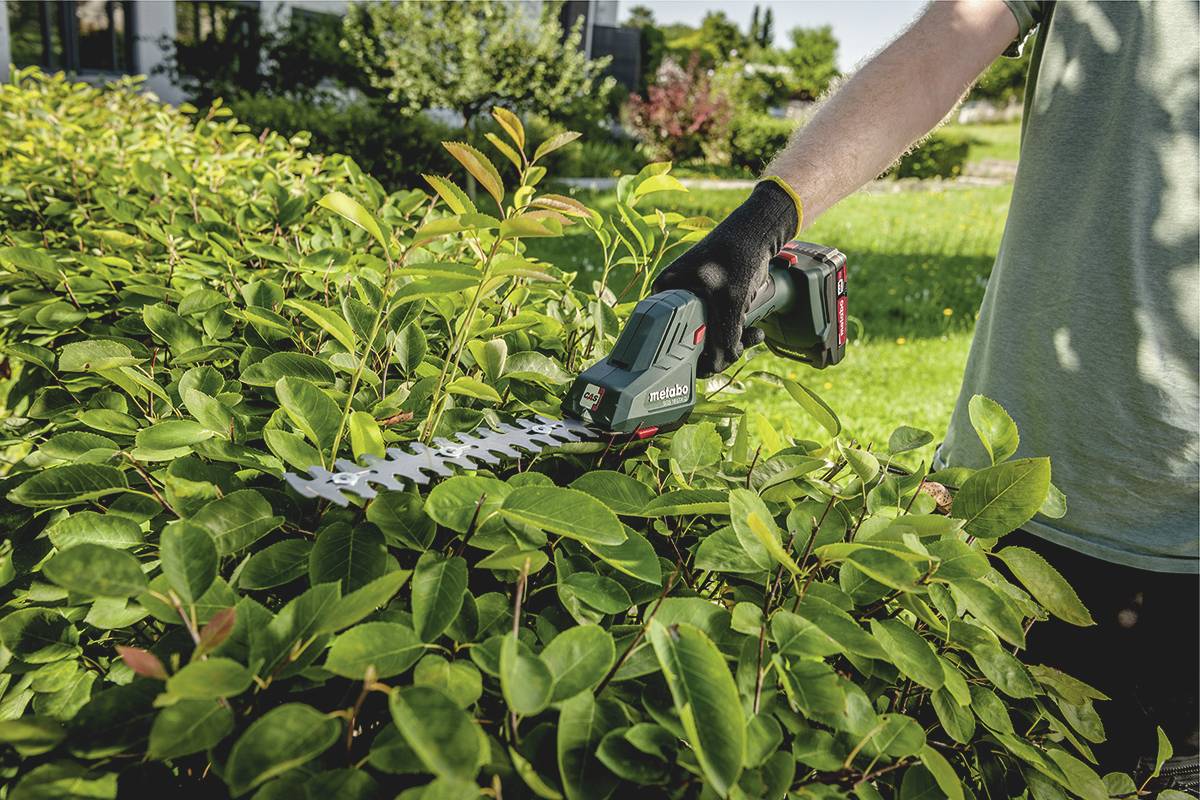 Person schneidet mit elektrischer Heckenschere grüne Hecke im Garten. Kleidung: grünliches T-Shirt und schwarze Handschuhe.