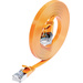 Wirewin 9120064012144 RJ45 Câble réseau, câble patch CAT 6 U/FTP 0.50 m orange 1 pc(s)