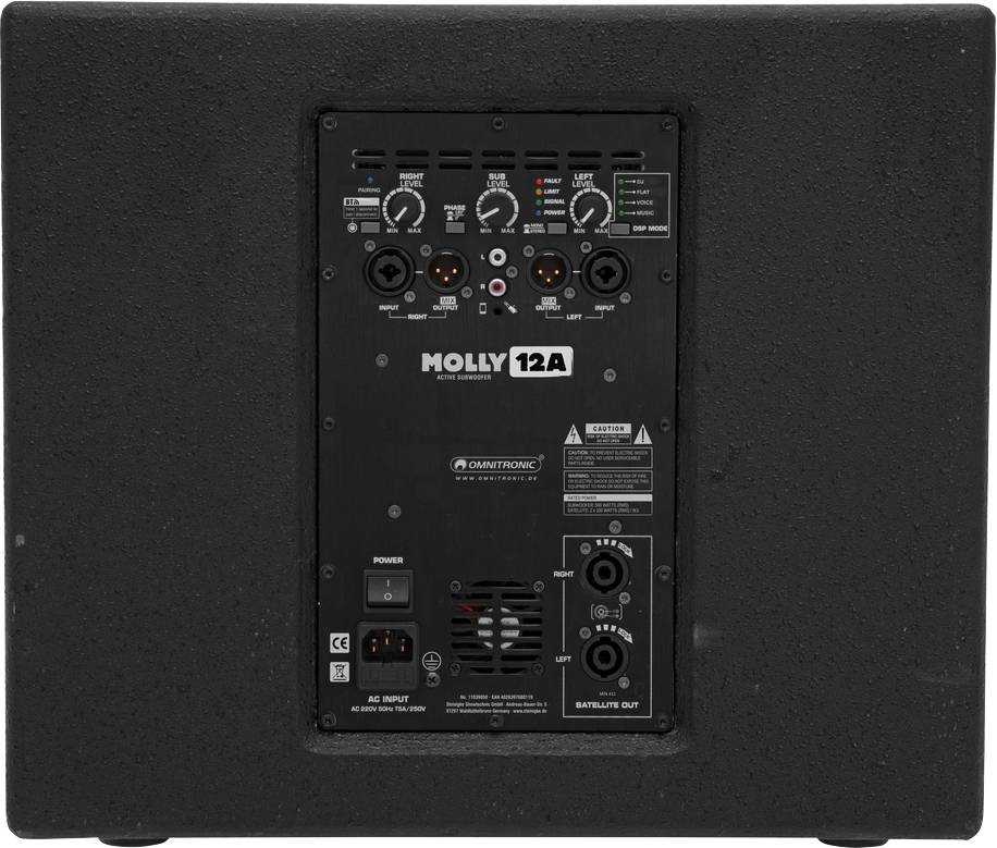 Omnitronic Molly-12A Aktiver PA Subwoofer 30.48cm 12 Zoll 700W 1St.