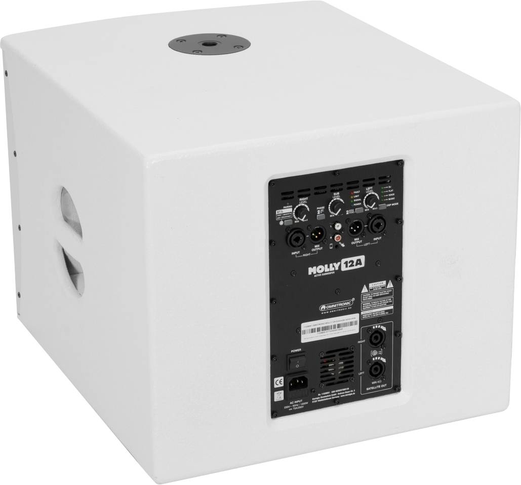 Omnitronic Molly-12A Aktiver PA Subwoofer 30.48cm 12 Zoll 700W 1St.