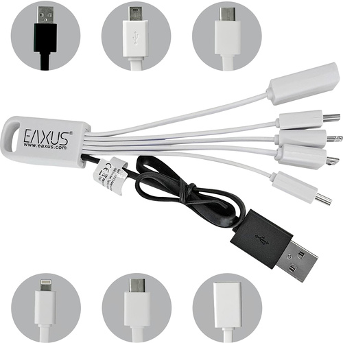 Eaxus 5in1 USB 2.0 Ladekbael mit Mini, Micro USB Stecker, Typ C, 8-pin, Kupplung Ladekabel