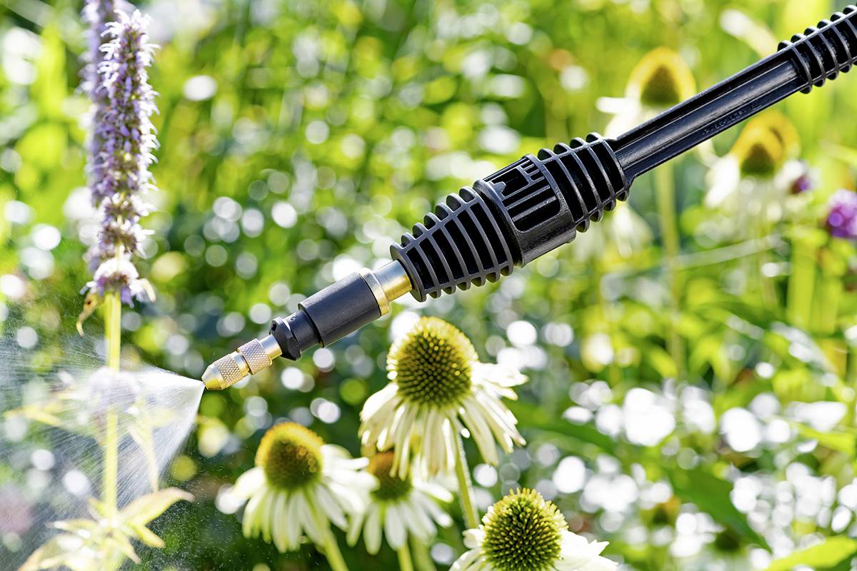 Eine Hand hält einen Gartenschlauch und sprüht Wasser auf Blumen in einem Garten. Die Blumen sind von grünem Laub umgeben.