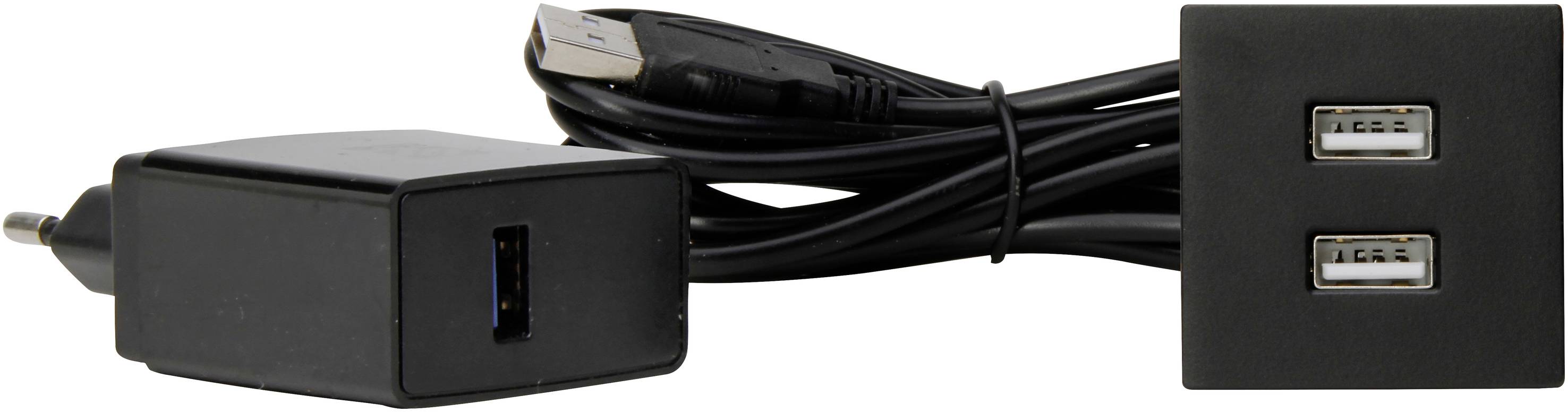 Kopp 939747010 Einbau-Steckdose mit USB IP20 Schwarz