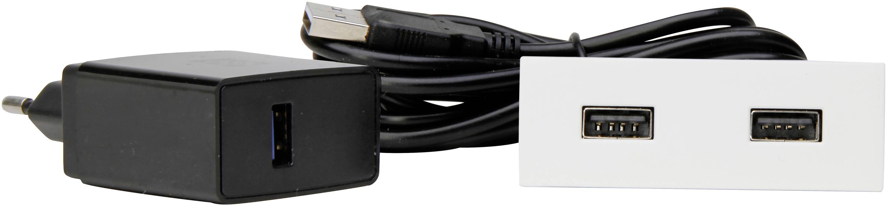 Kopp 939751011 Einbau-Steckdose mit USB IP20 Weiß