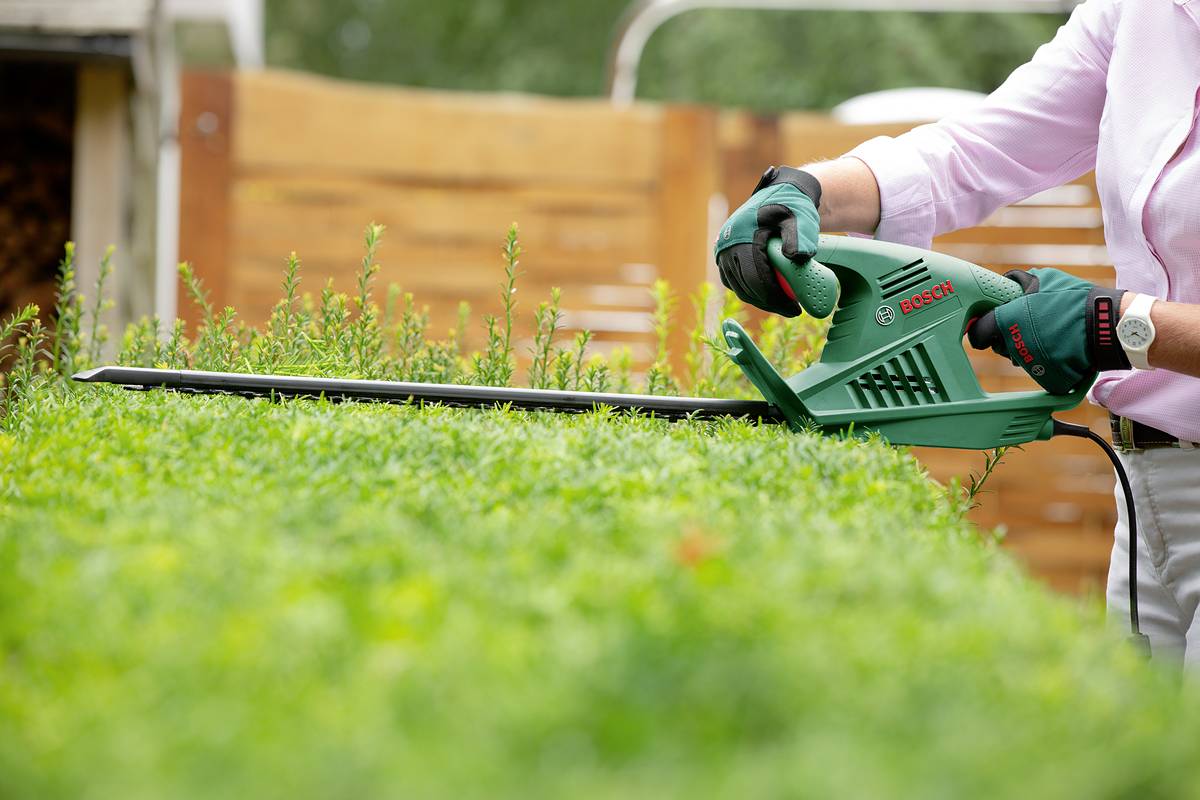 Bosch Home and Garden EasyHedgeCut 55-16 Elektro Heckenschere B-Ware (beschädigte / fehlende Verpackung) 450W