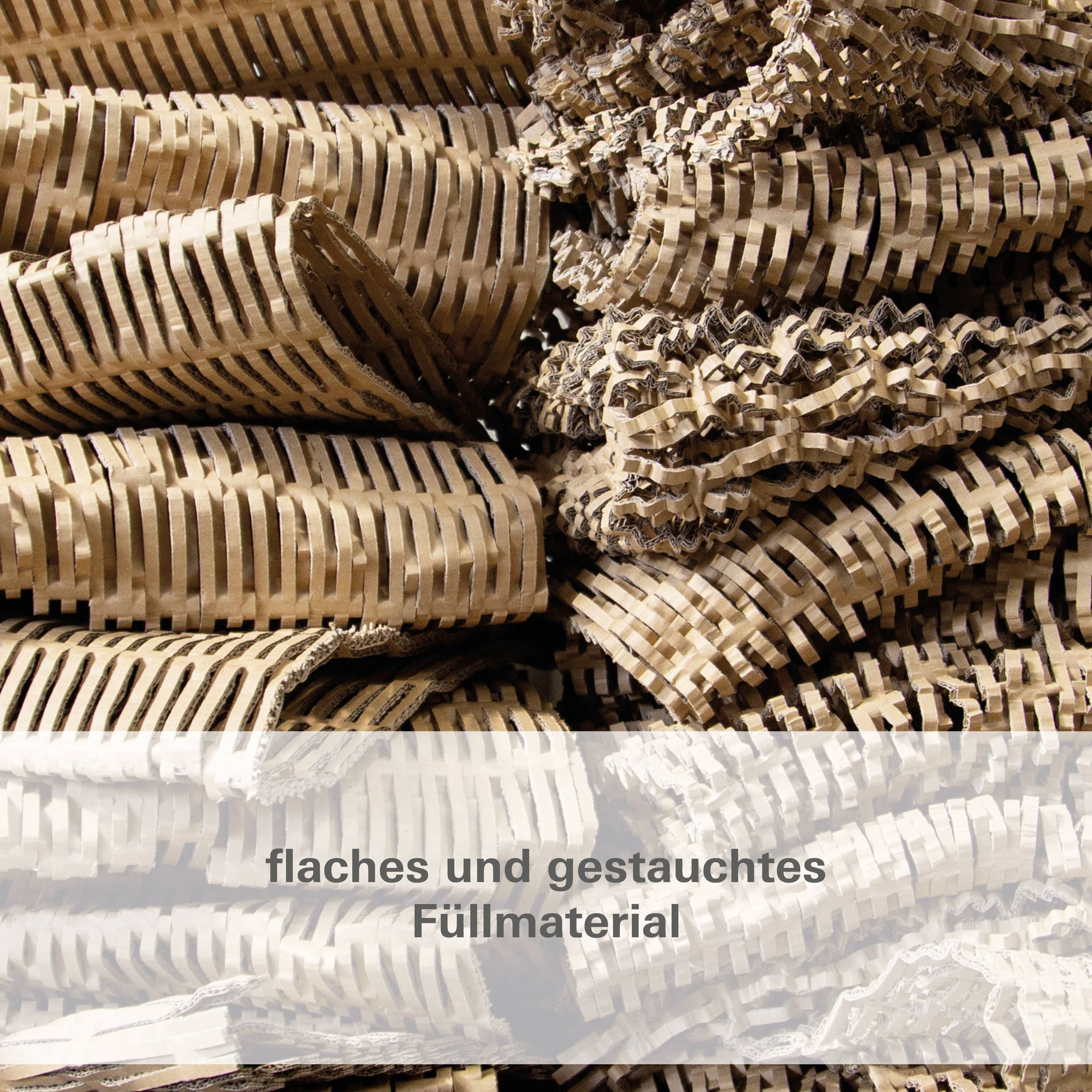 HSM ProfiPack P425 Verpackungspolstermaschine