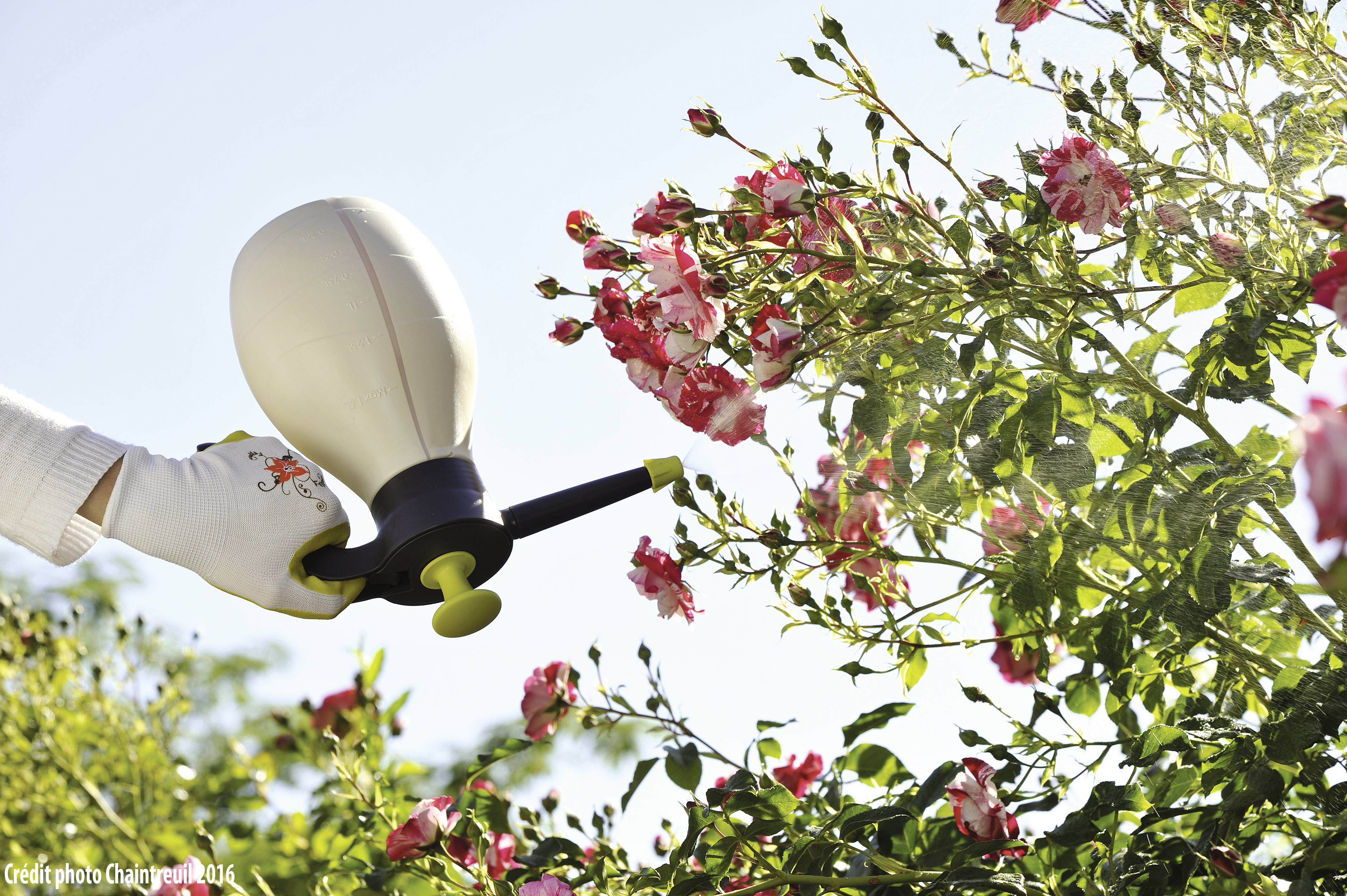 Hozelock 4200 0000 PURE 2L Drucksprüher 2l