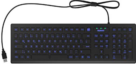 Keysonic KSK-8031INEL-B Kabelgebunden Tastatur Deutsch, QWERTZ Schwarz Beleuchtet, USB-Anschluss, Staubgeschützt, Spritzwassergeschützt
