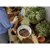 GARDENA 11320-20 ClickUp! Pflanzschale GARDENA 11320-20 ClickUp! Pflanzschale