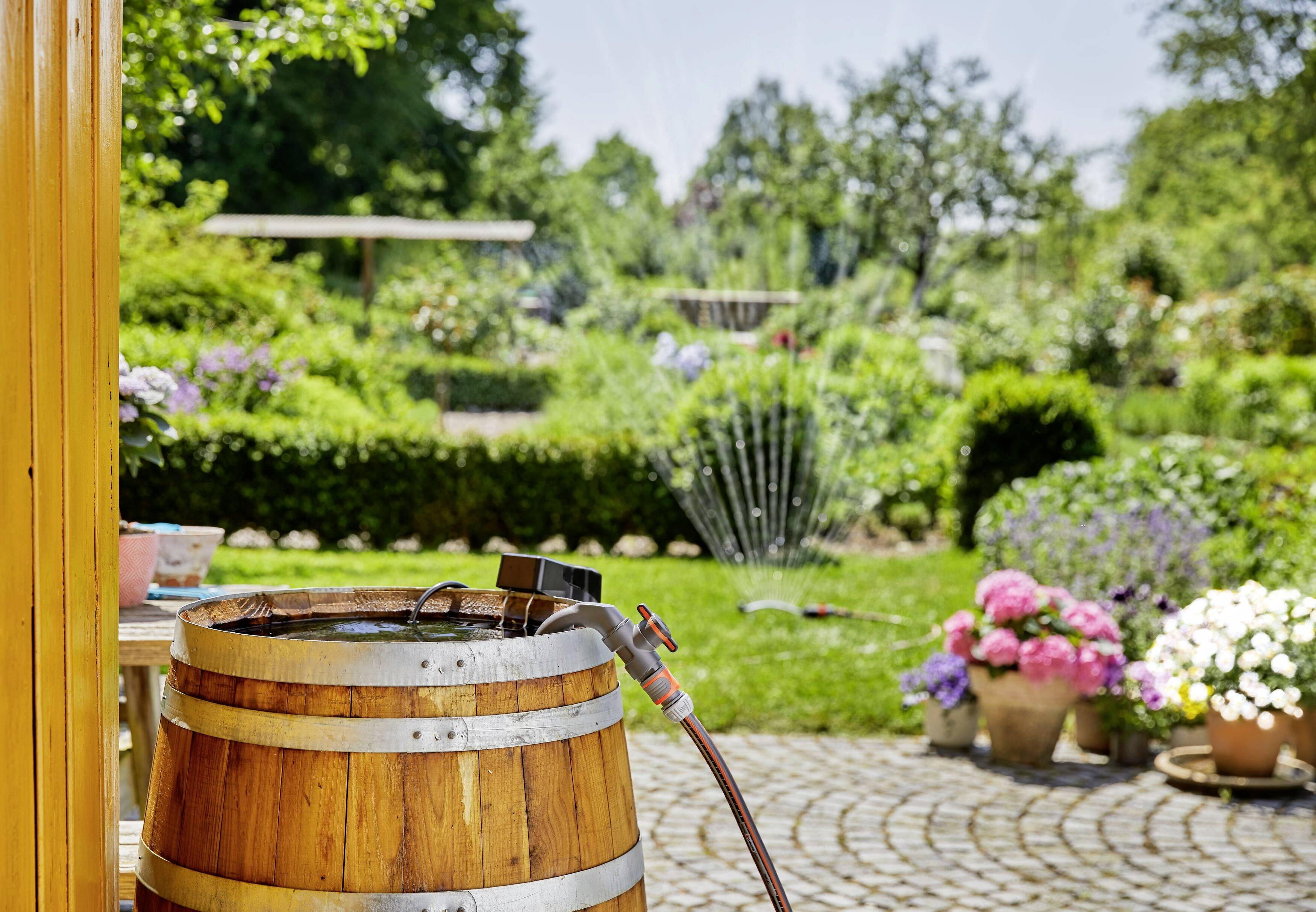 Holzfasse mit Wasserhahn in blühendem Garten, im Hintergrund Rasen mit Sprinkler und Blumenbeet.