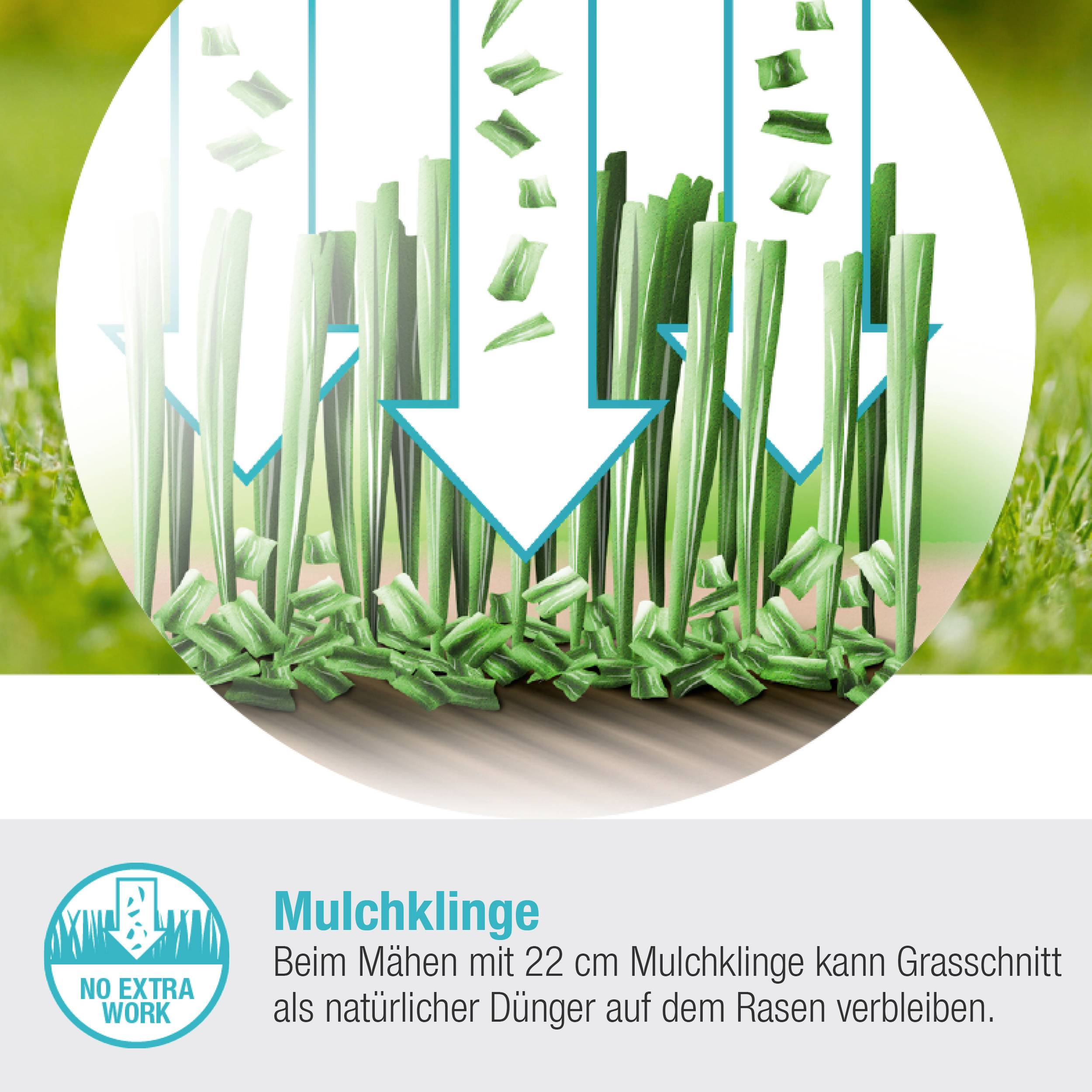 Freigestelltes Bild von schneidenden Grashalmen, darüber Text: 'Mulchklinge - Beim Mähen mit 22 cm Mulchklinge kann Grasschnitt als natürlicher Dünger auf dem Rasen verbleiben.'