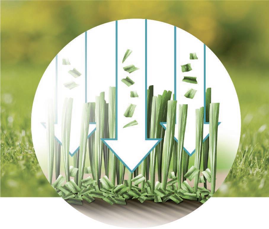 Illustration zeigt, wie Grasschnitt dank Pfeilen zu Mulch wird und den Boden bedeckt, um Nährstoffe zurückzuführen.