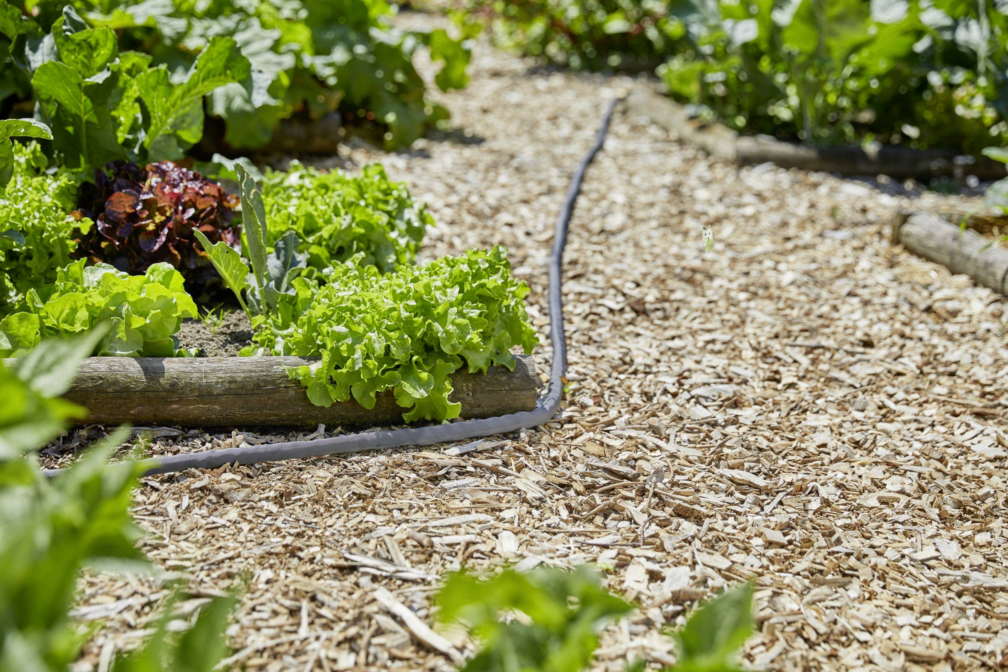 GARDENA 18426-32 Liano 15 m 15 m 1 St. Gartenschlauch