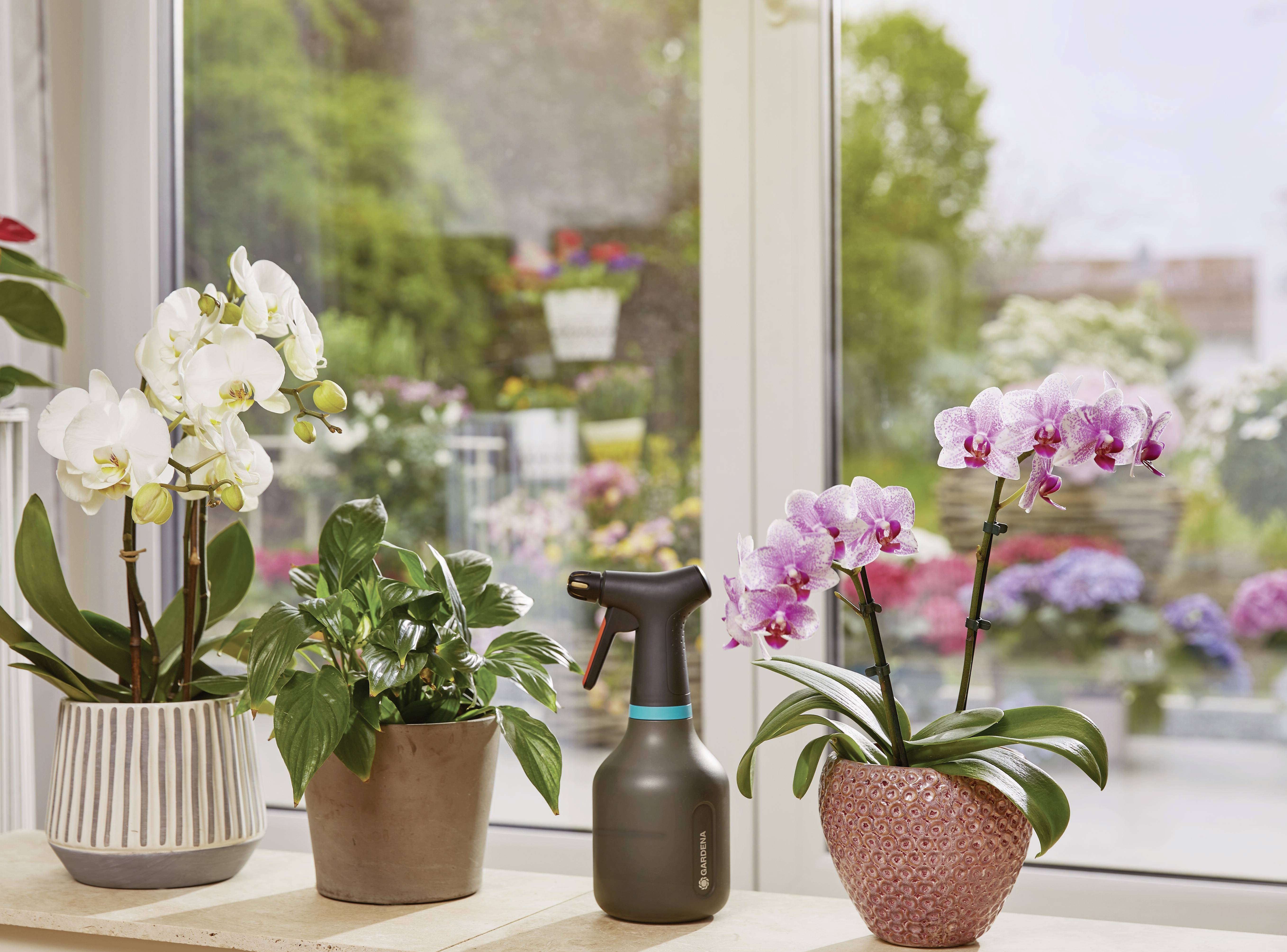 Zimmerpflanzen auf der Fensterbank mit Orchideen und grüner Pflanze neben einem schwarzen Pflanzensprüher, dahinter blühender Garten.