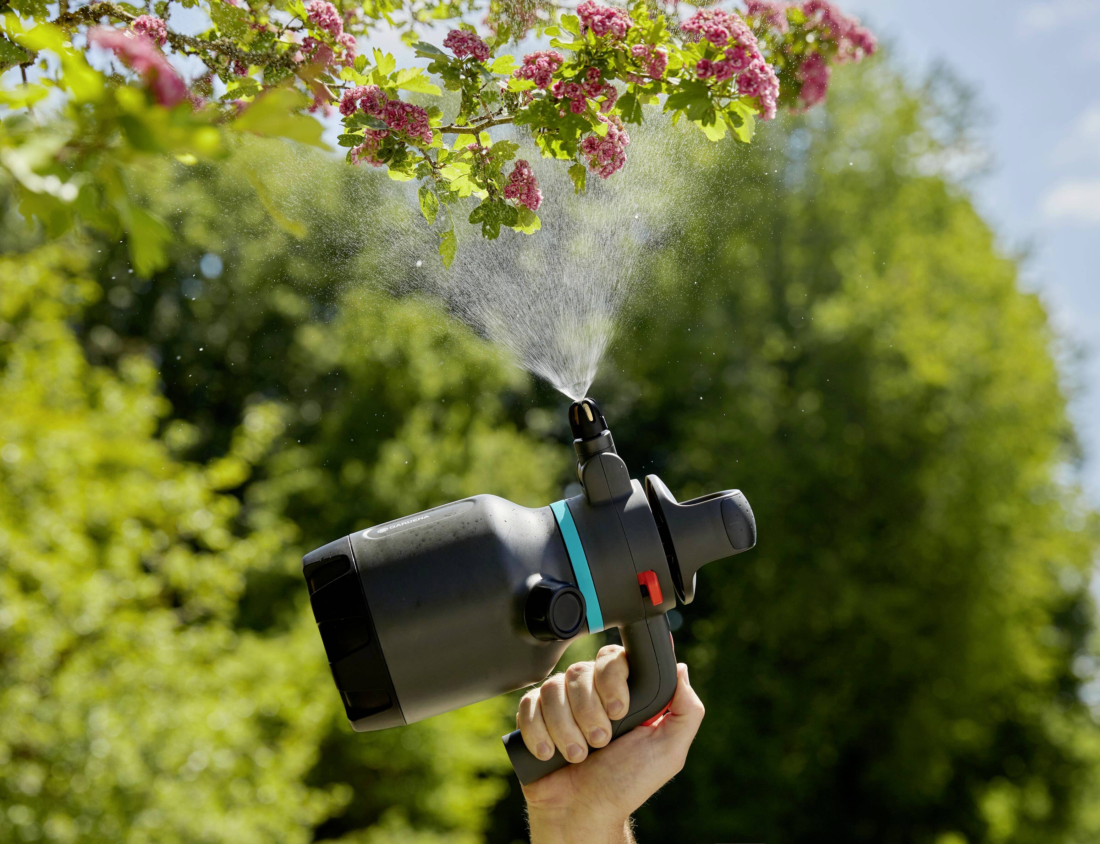 Eine Hand hält eine schwarze Sprühflasche, die Wasser auf blühende Zweige sprüht. Hintergrund mit grünen Bäumen.