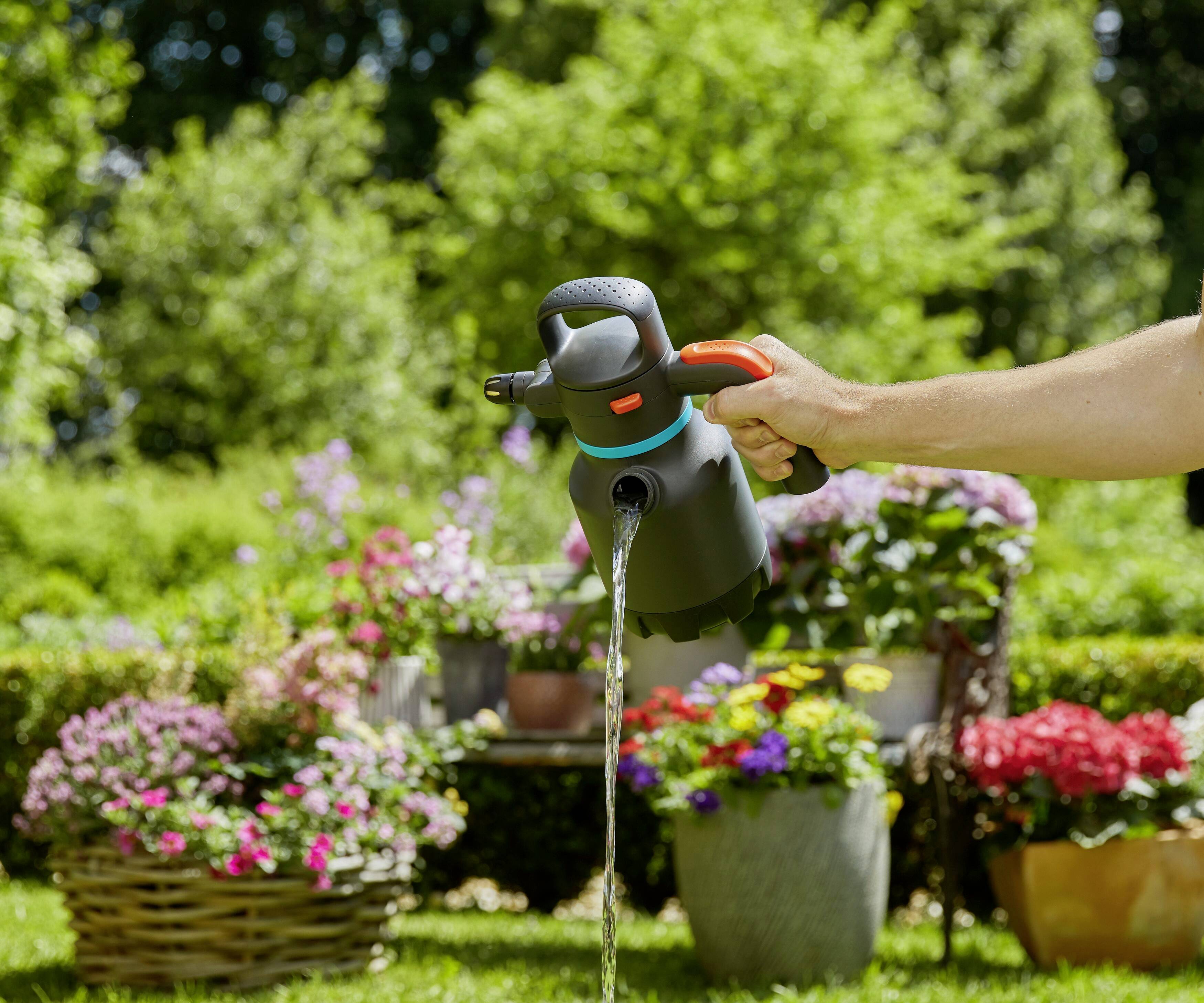 Eine Hand gießt Wasser aus einer schwarzen Gießkanne über bunte Blumen in einem sonnigen Garten.