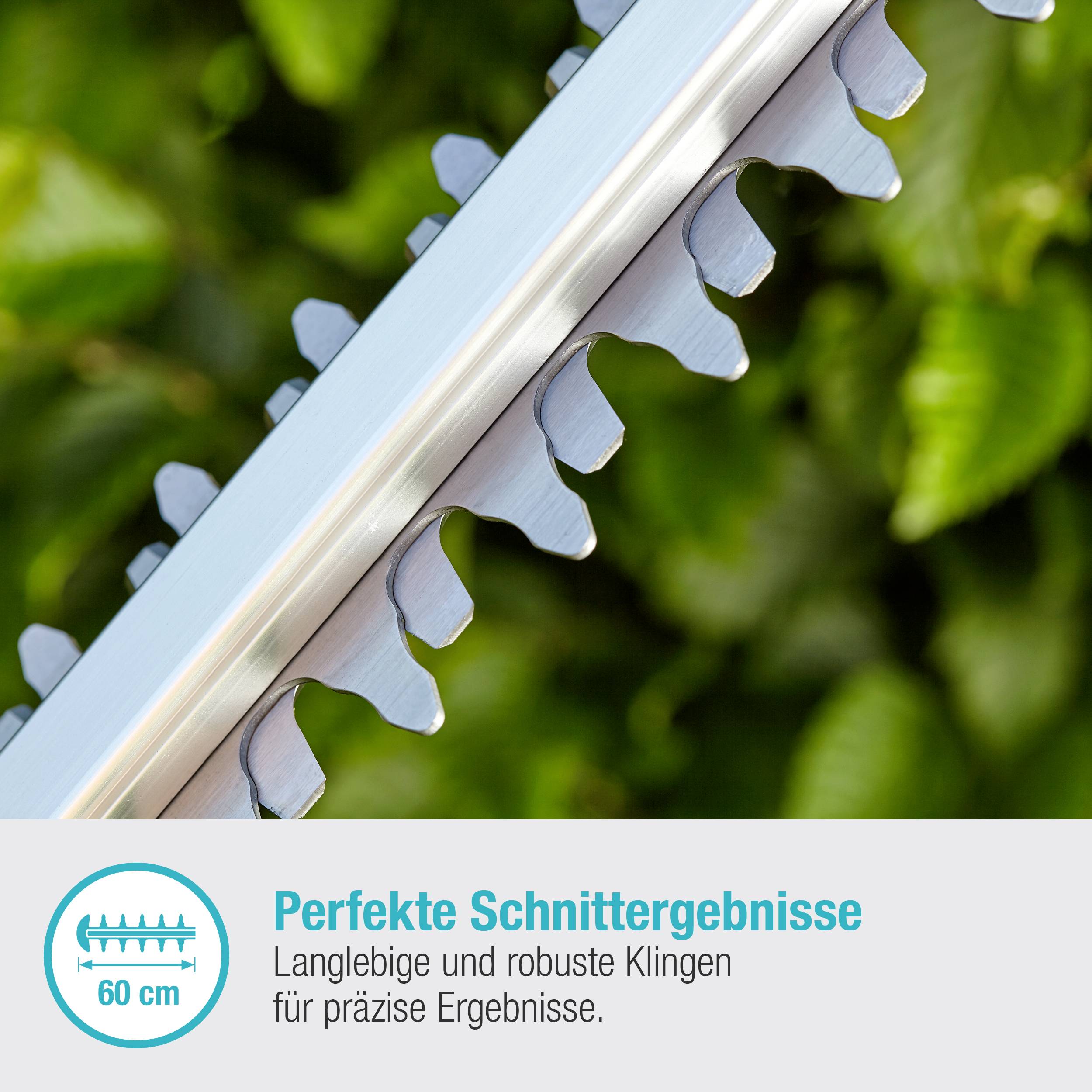 Heckenschere mit robusten, langlebigen Klingen. Text besagt: 'Perfekte Schnittergebnisse. 60 cm. Langlebige und robuste Klingen.'