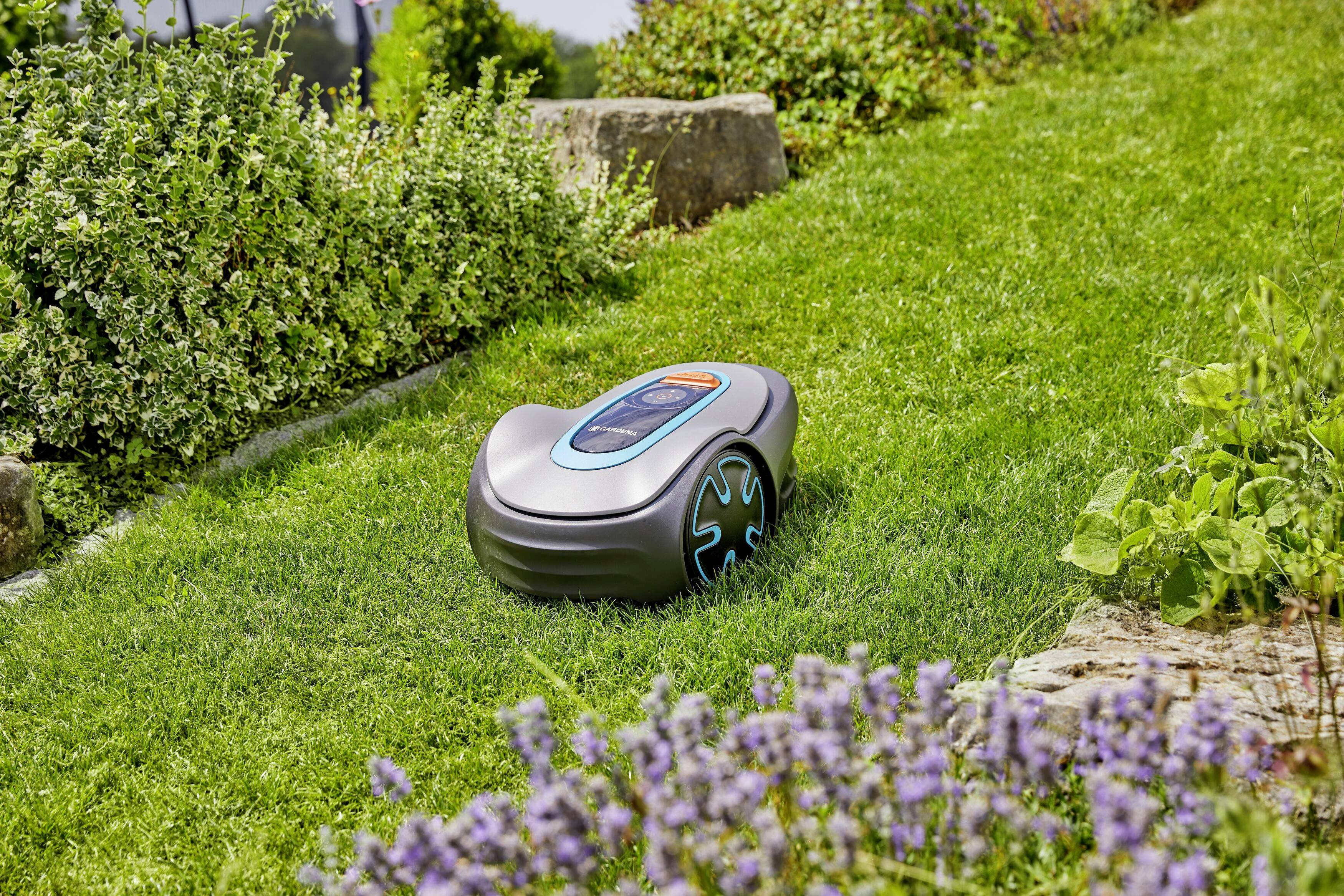 Ein Mähroboter fährt über einen grünen Rasen zwischen verschiedenen Pflanzen und Blumen in einem Garten.