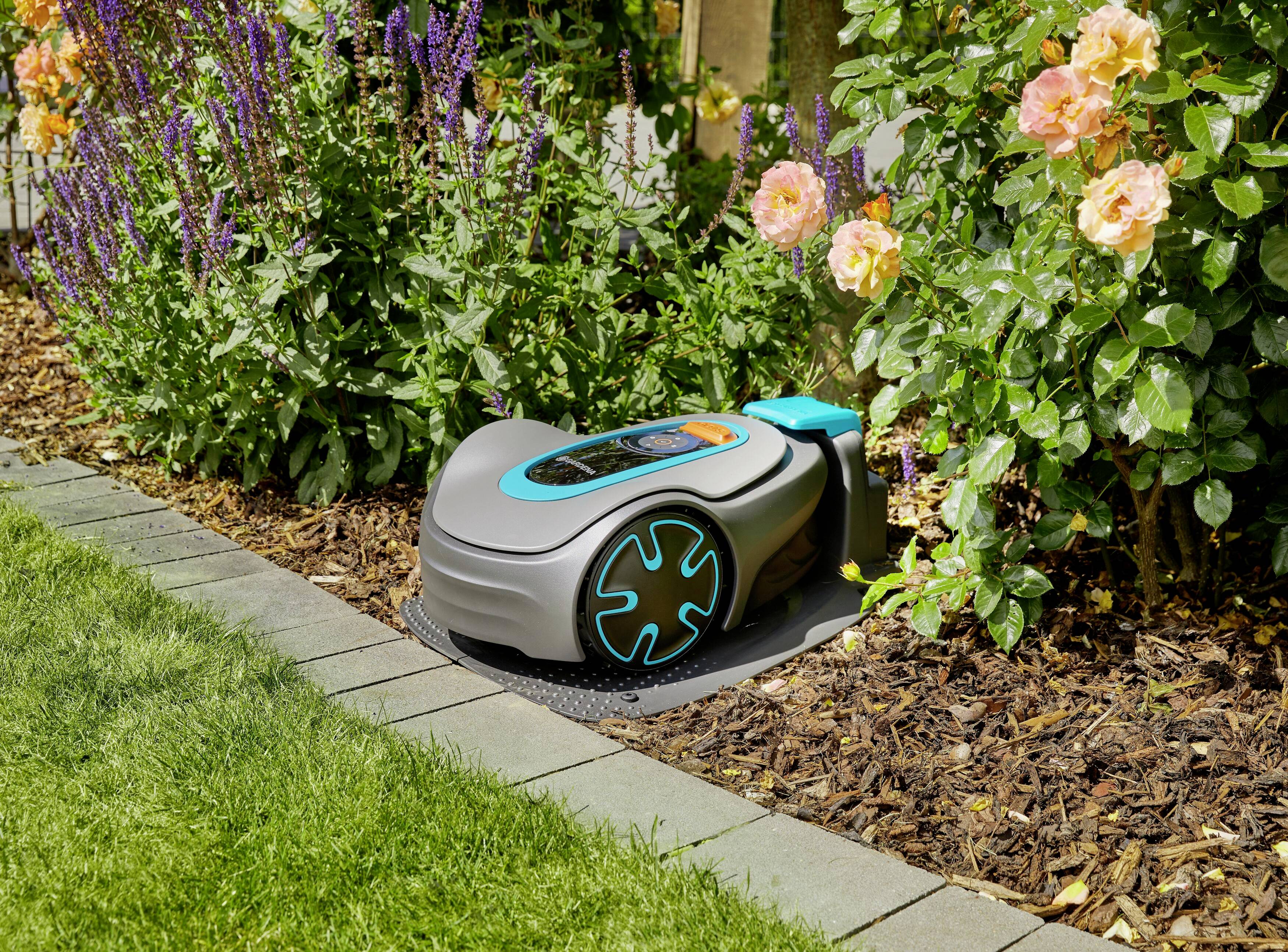 Ein Mähroboter mäht Rasen neben Blumenbeet mit bunten Rosen und Lavendel, umgeben von einem Beetrand.