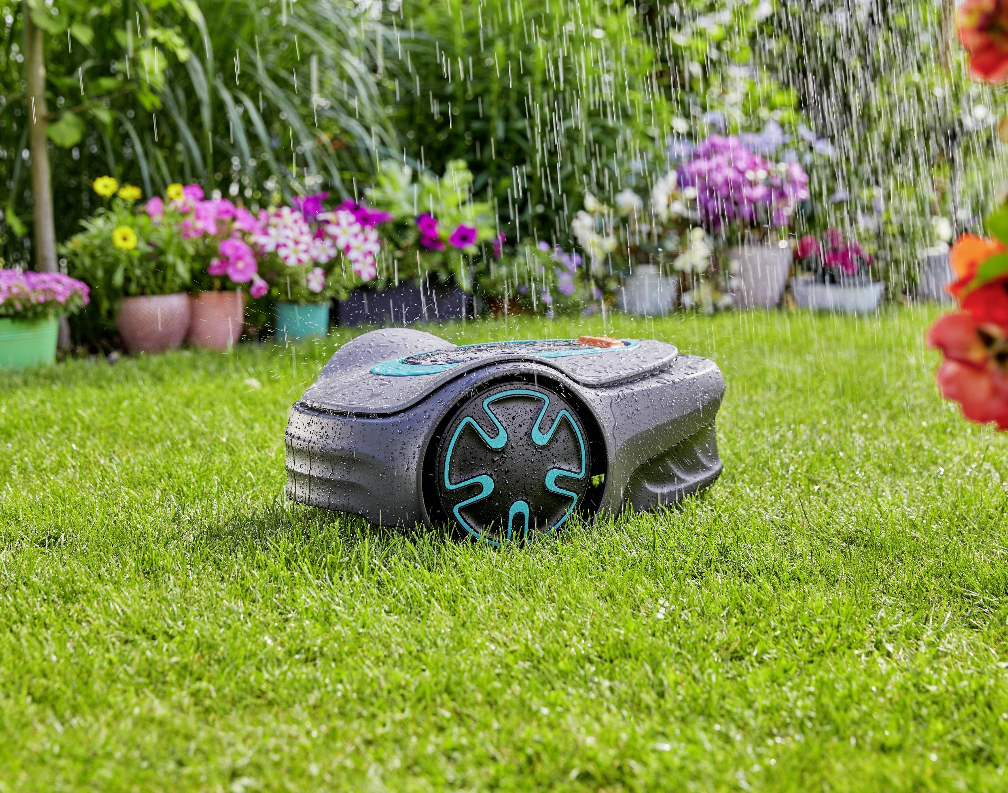 Ein Rasenmähroboter mäht selbstständig grünen Rasen in einem Garten mit bunten Blumen in Töpfen im Hintergrund. Es regnet leicht.