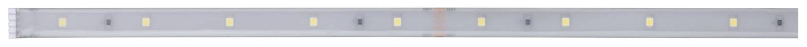 Paulmann MaxLED Stripe Daylight 79874 LED-Streifen mit Stecker 1m Tageslichtweiß 1St.