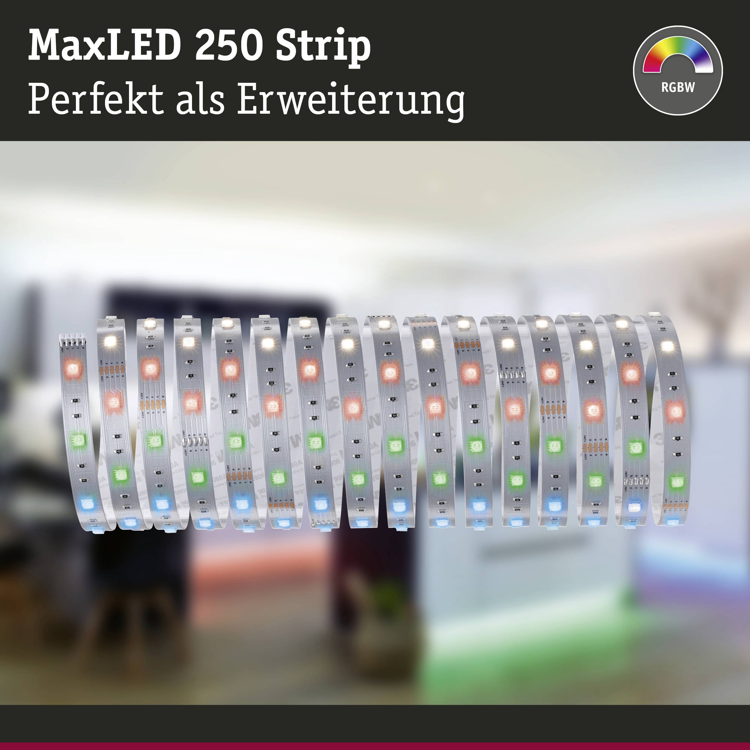 Paulmann MaxLED Stripe RGB 79867 LED-Streifen mit Stecker 24V 5m Warmweiß 1St.