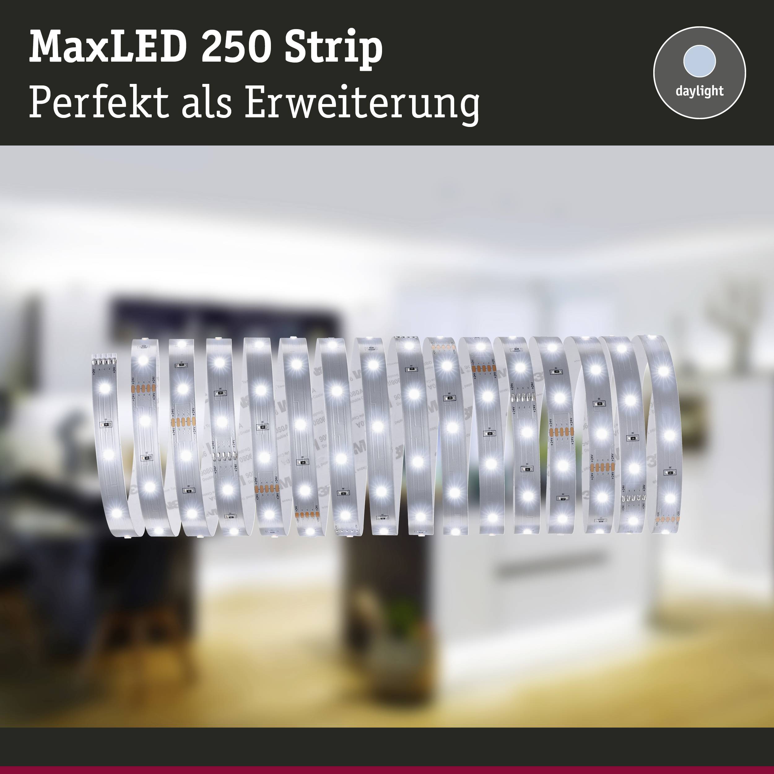 Beleuchteter LED-Strip vor unscharfem Wohnraumhintergrund, Text 'MaxLED 250 Strip - Perfekt als Erweiterung', Icon 'daylight'.