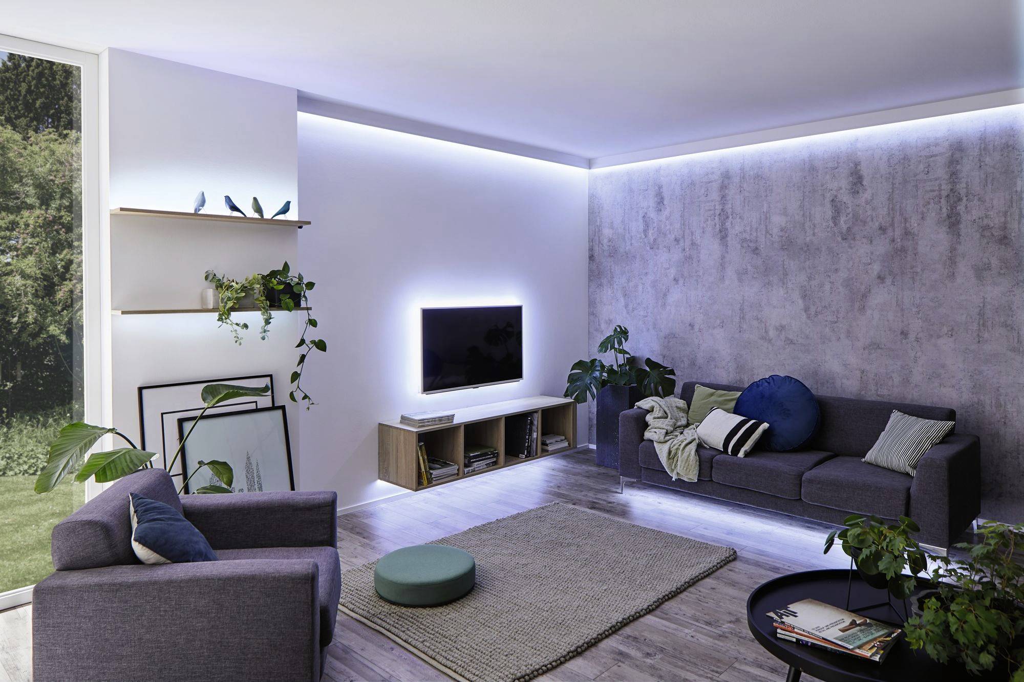 Modernes Wohnzimmer mit grauer Couch, Sessel, Teppich, Pflanzen und einem Flachbildfernseher an der Wand. Helles Tageslicht von einem großen Fenster.