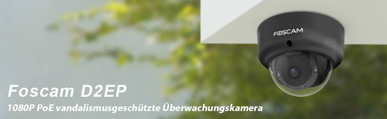 Foscam D2EP 0d2eps LAN IP Überwachungskamera 1920 x 1080 Pixel