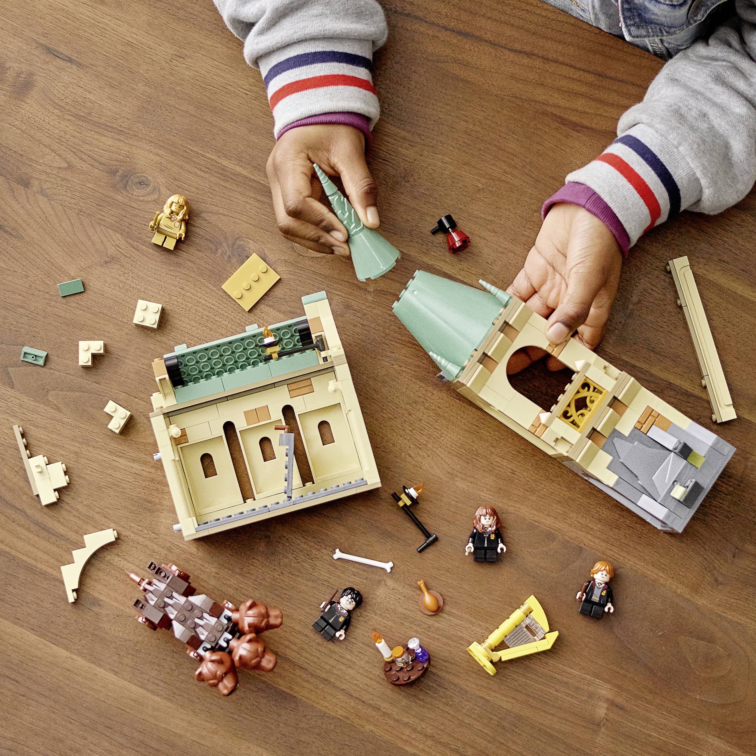 76387 LEGO® HARRY POTTER™ Hogwarts™: Begegnung mit Fluffy