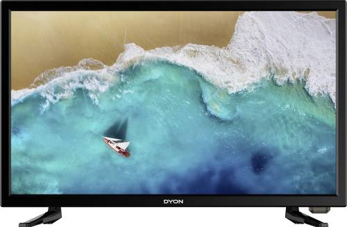 Dyon Enter 19 Pro X2 LED-TV 47cm 19 Zoll EEK F (A - G) DVB-T2, DVB-C, DVB-S, HD ready, CI+ Schwarz