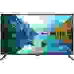 Dyon Live 42 Pro X LED-TV 105cm 42 Zoll EEK F (A - G) DVB-T2, DVB-C, DVB-S, Full HD, CI+ Schwarz