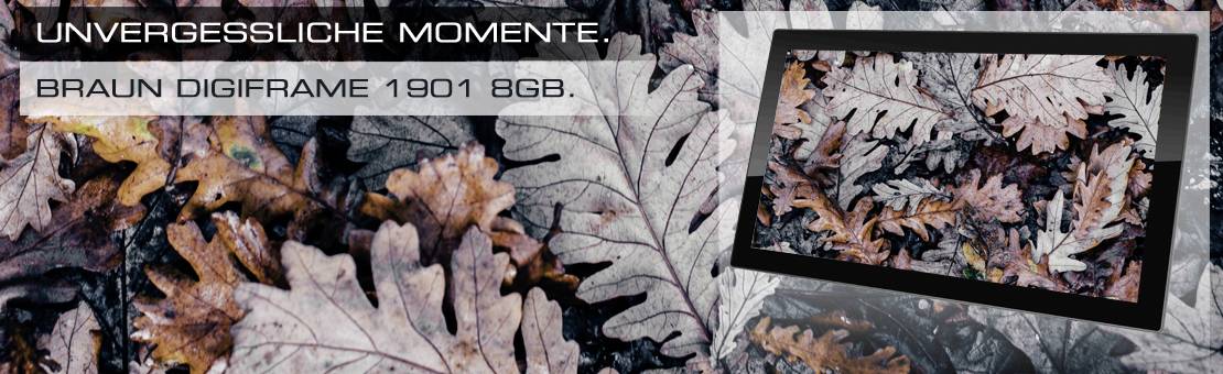 Herbstliche Eichenblätter liegen auf dem Boden. Ein digitaler Bilderrahmen zeigt dasselbe Bild. Text: 'Unvergessliche Momente. Braun Digiframe 1901 8GB'.