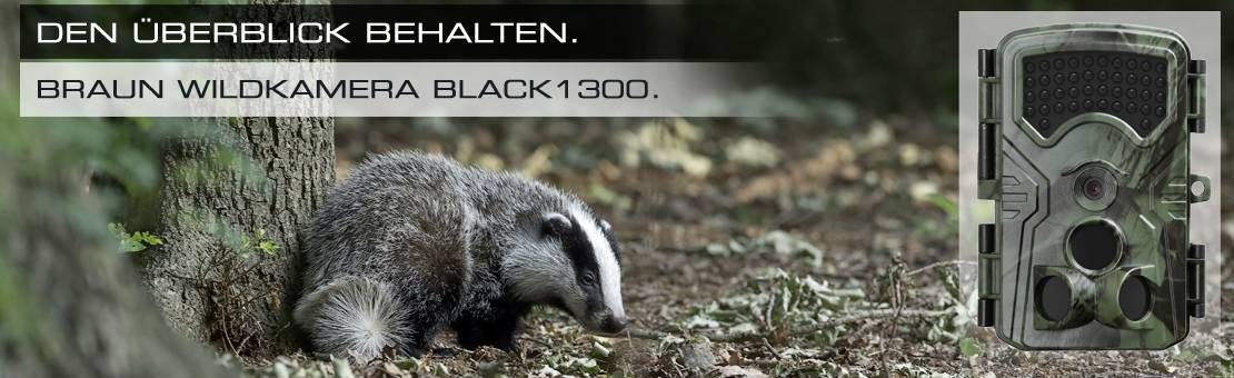 Dachs im Wald neben einer Wildkamera. Text: 'Den Überblick behalten. Braun Wildkamera Black1300.'
