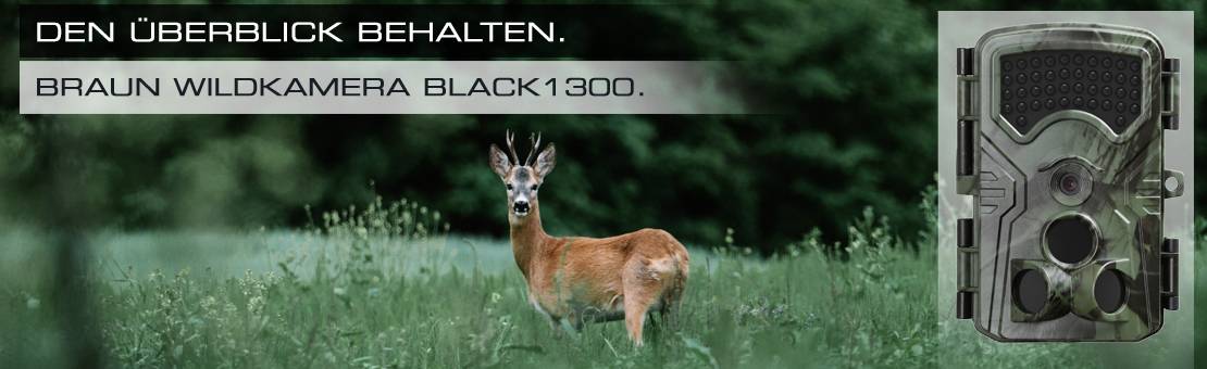 Ein Reh steht in einem grünen Wald. Rechts im Bild ist die BRAUN Wildkamera Black1300 abgebildet. Text: 'Den Überblick behalten.'