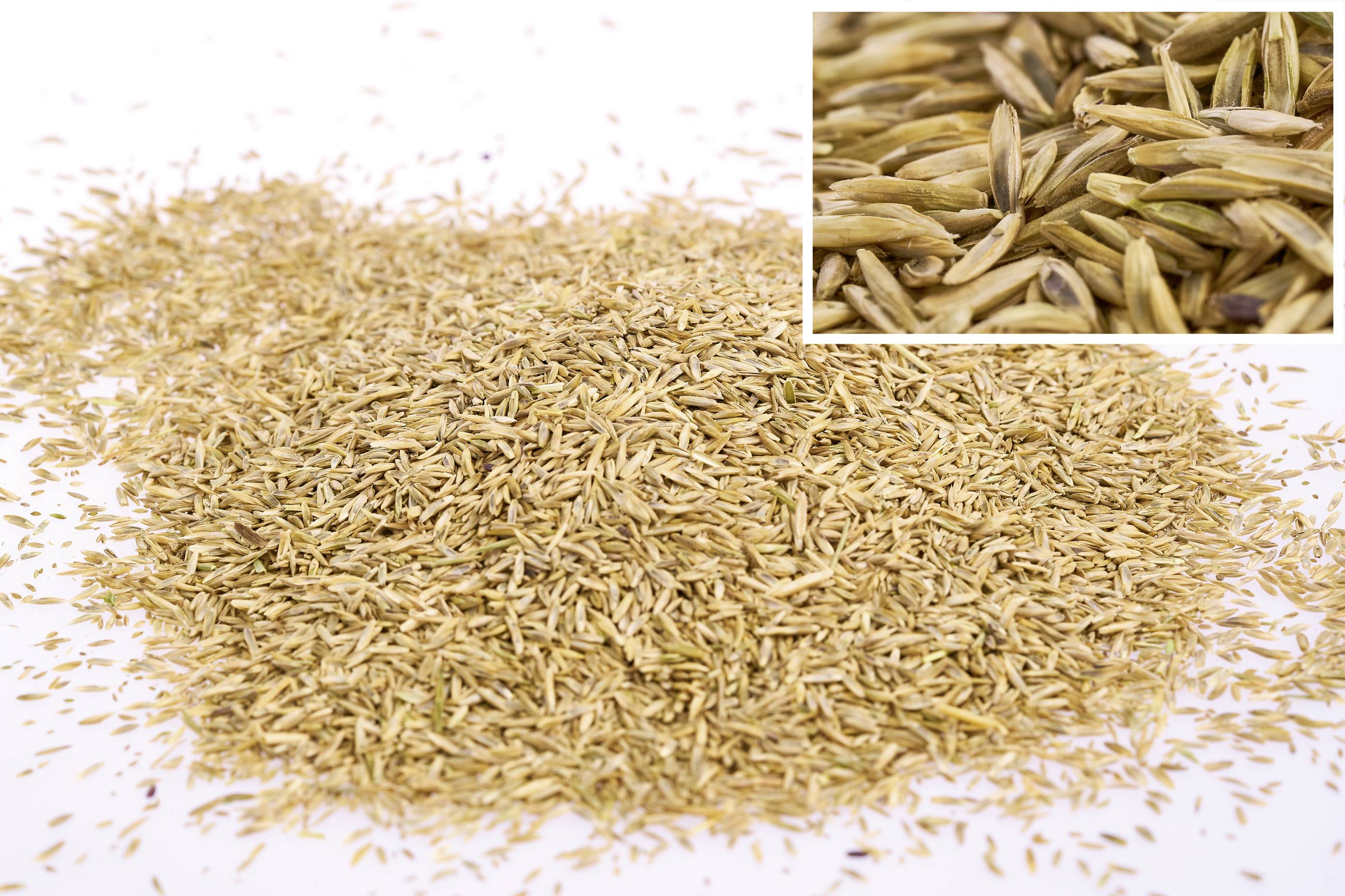 WOLF-Garten 3826650 Turbo-Nachsaat LR-S 250 D/A 1 St.